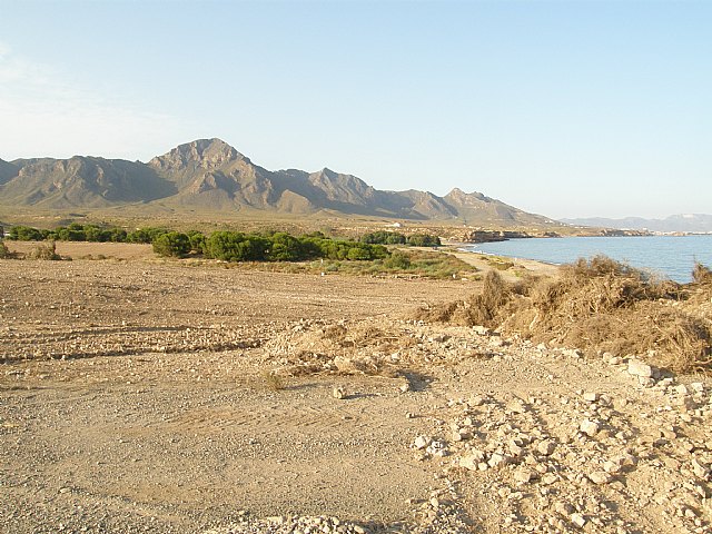 Foto: Jorge Sánchez/ANSE