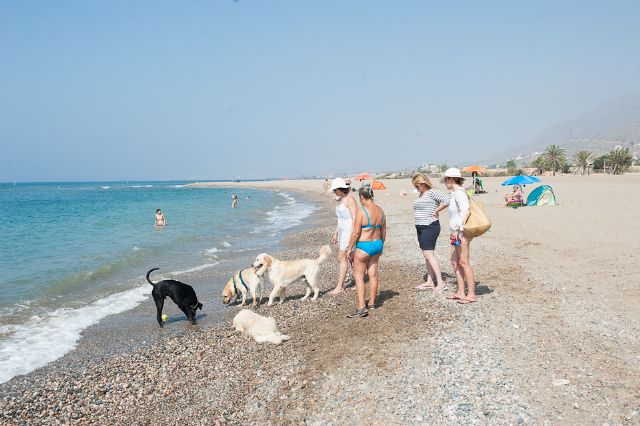 La playa de las Moreras se convierte en la primera playa canina de España en conseguir la bandera Q de Calidad Turística