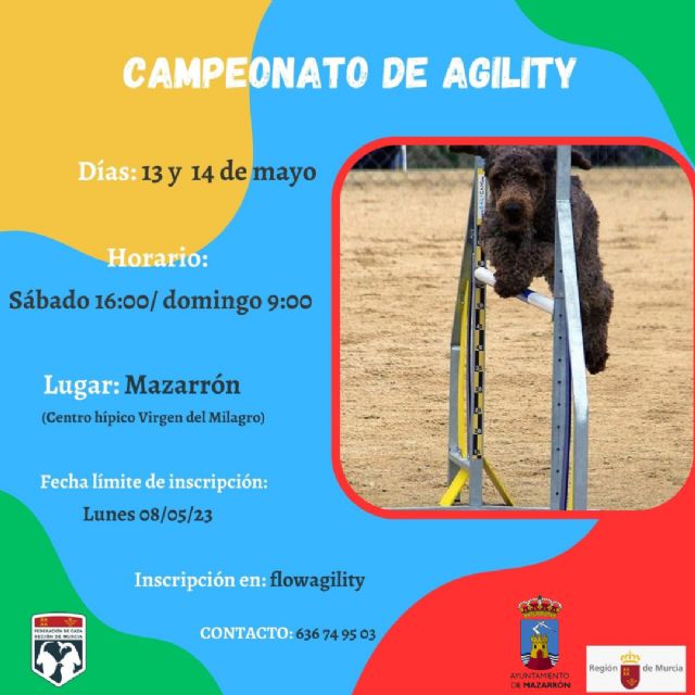 Campeonato de agility en Mmazarrón