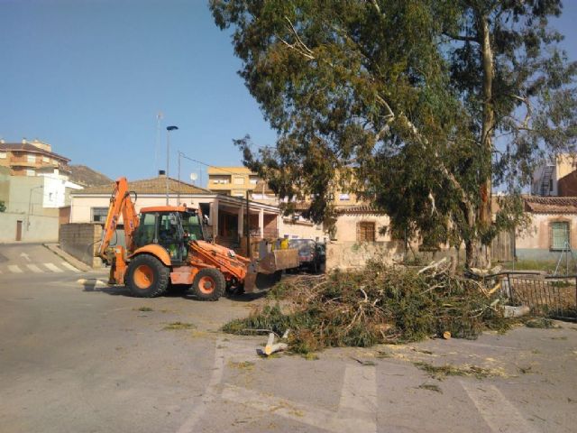 Emergencias y fuerzas de seguridad realizan 16 actuaciones para paliar incidencias provocadas por las rachas de viento