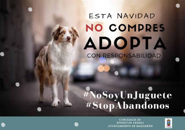 Bienestar Animal promueve la adopción para estas navidades