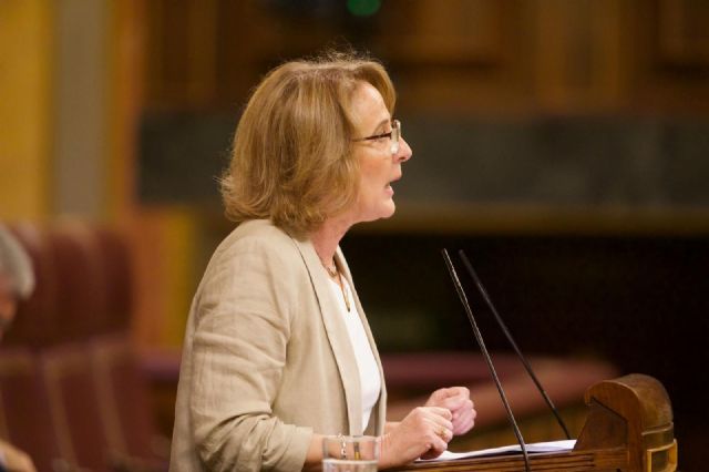 VOX exige al Gobierno explicaciones en el Congreso por los daños de la manga marina en Mazarrón