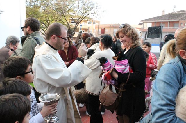 Los animales reciben su tradicional bendición por San Antón