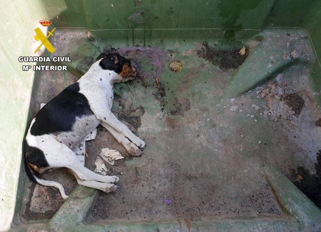La Guardia Civil investiga a una vecina de Mazarrón por maltrato animal