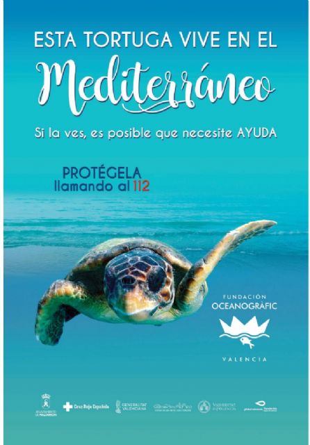 Mazarrón se suma a la campaña 'Tortugas en el Mediterráneo'