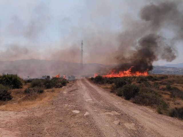 Incendio en El Saladillo, Mazarrón