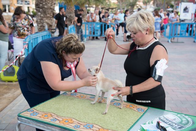 Numeroso público disfruta del elevado nivel de participación en el vi concurso nacional canino de Mazarrón