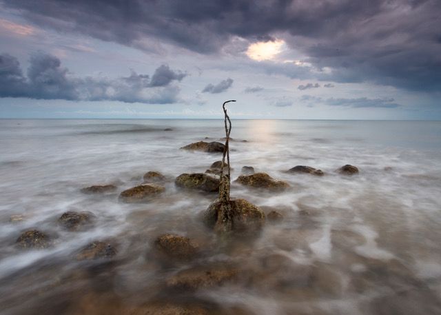 La asociación fotográfica F20 nos invita a conocer 'La Mar'