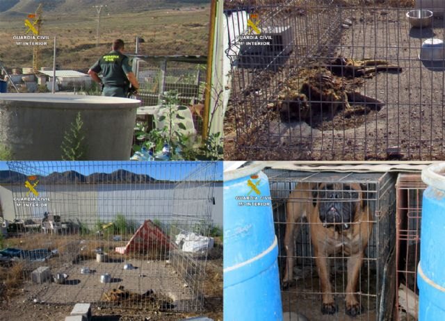 La Guardia Civil investiga al propietario de un criadero de perros de Mazarrón por delito de maltrato animal