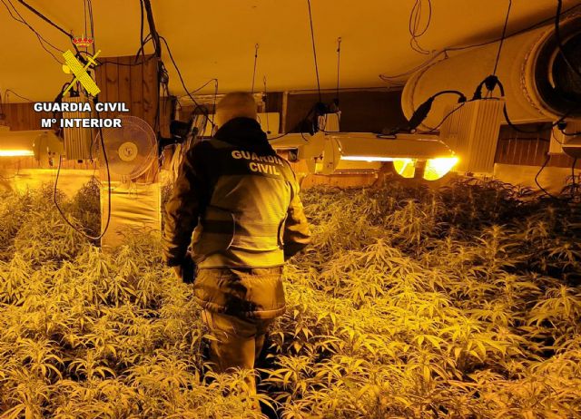 La Guardia Civil desmantela en Mazarrón un cultivo ilícito de marihuana